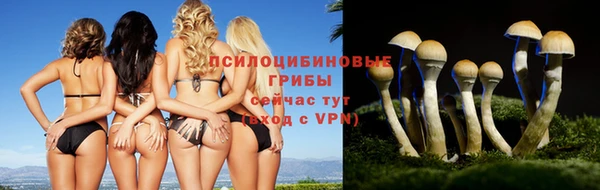а пвп мука Бородино
